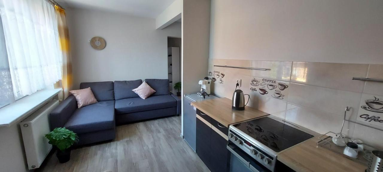 Apartamenty Montania Вісла Екстер'єр фото
