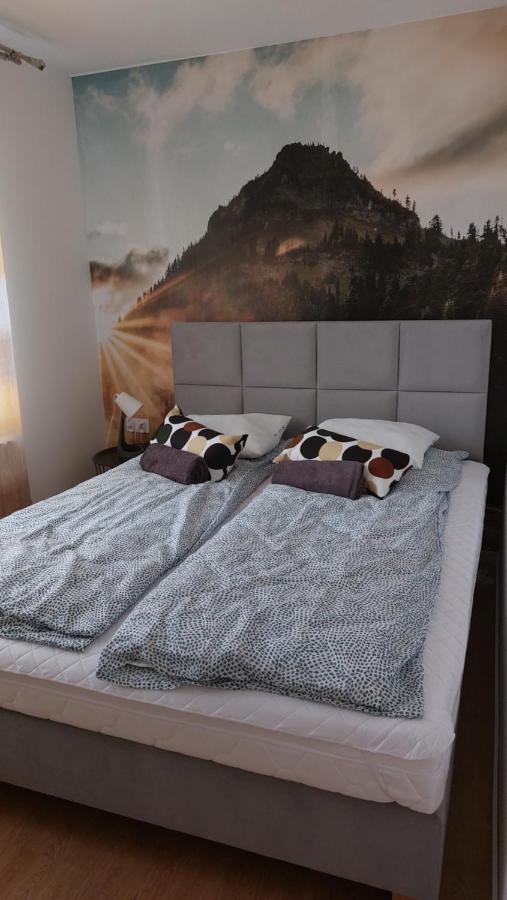 Apartamenty Montania Вісла Екстер'єр фото