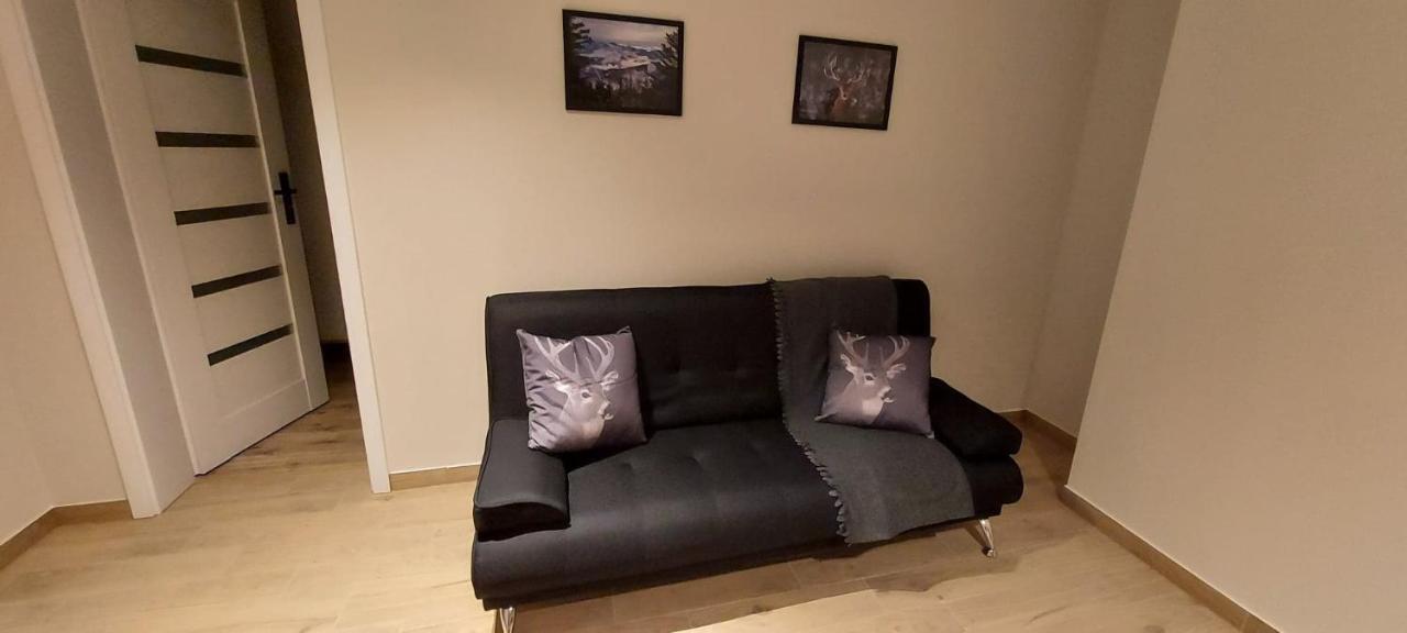 Apartamenty Montania Вісла Екстер'єр фото